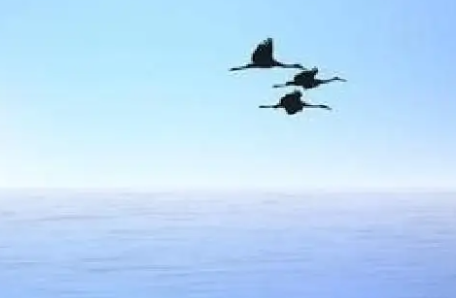 学业规划一路走来有哪些特点