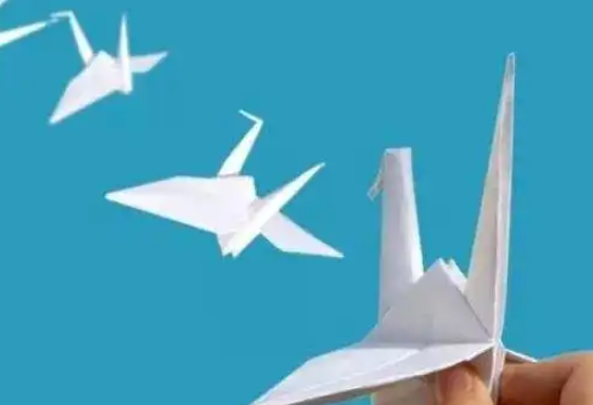 学业规划过程中需要把握哪些准则