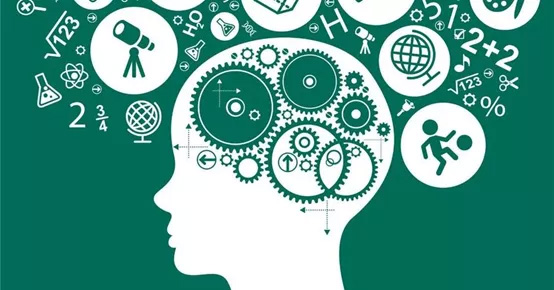 提升“元认知” = 提高学习成绩 ? 提升“元认知” = 提高学习成绩 ?