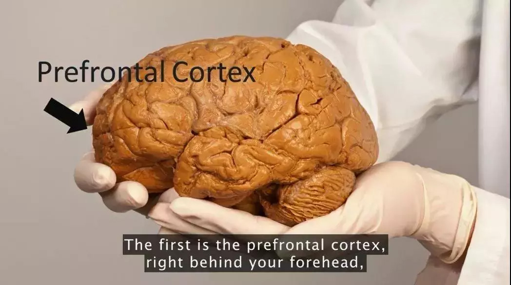 研究表明:运动有助于提升学习成绩,然而很多人都不知道! 研究表明:运动有助于提升学习成绩,然而很多人都不知道!