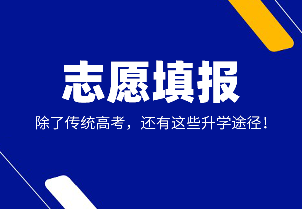 志愿填报  | 除了传统高考，还有这些升学途径！