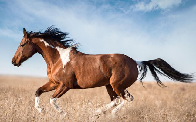 学员分享 | 种树者必培其根，种德者必养其心