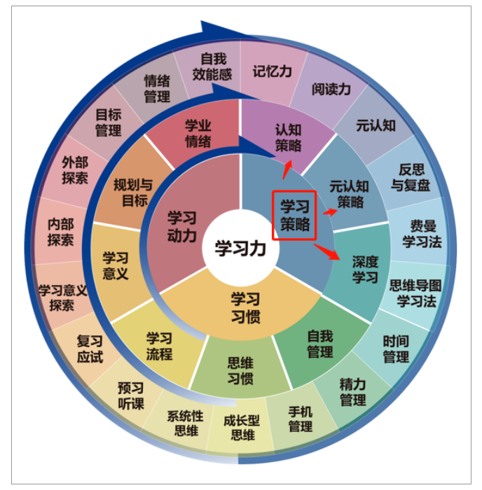 BMA学习力基本理论与三要素模型——让孩子爱上学习，学会学习！