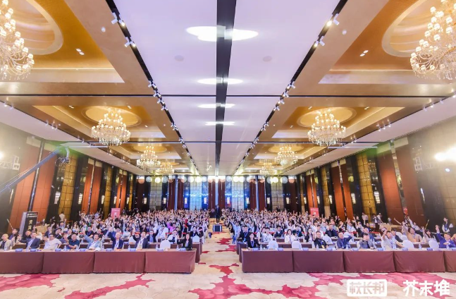 第20届校长邦全球教育产业博览会：北师大杨娟教授分享“从学习力辅导看家庭教育的焦点问题”！